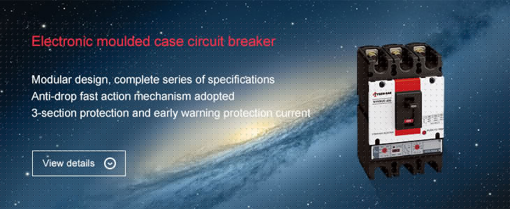 Electronic moulded case